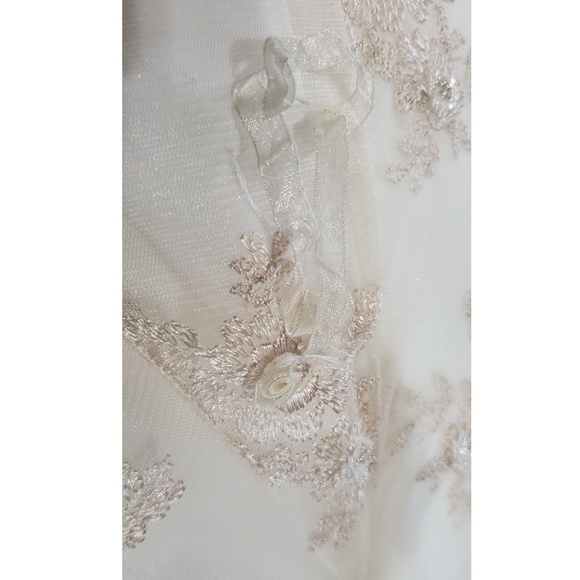 David's Bridal Ivory Lace Wedding Dress with Veil - Picture 7 of 8